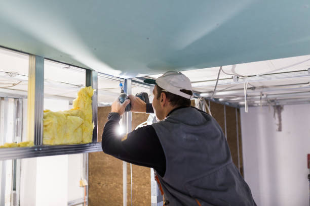 Best Residential Insulation in Bellevue, NE
