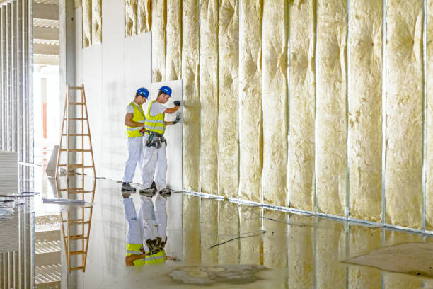 Best Cellulose Insulation in Bellevue, NE